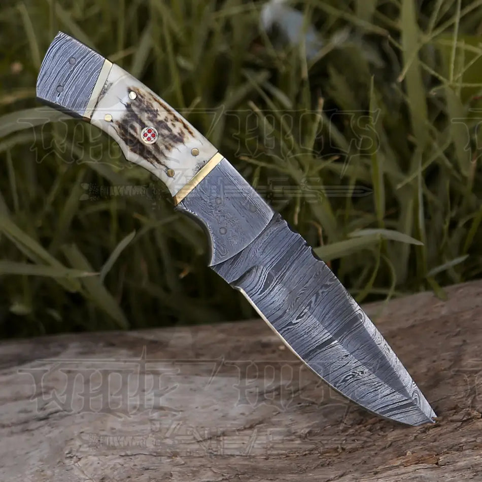 8.5” Hand Forged Damascus Steel Full Tang Skinner Knife - Stag Antler Handle - H 018