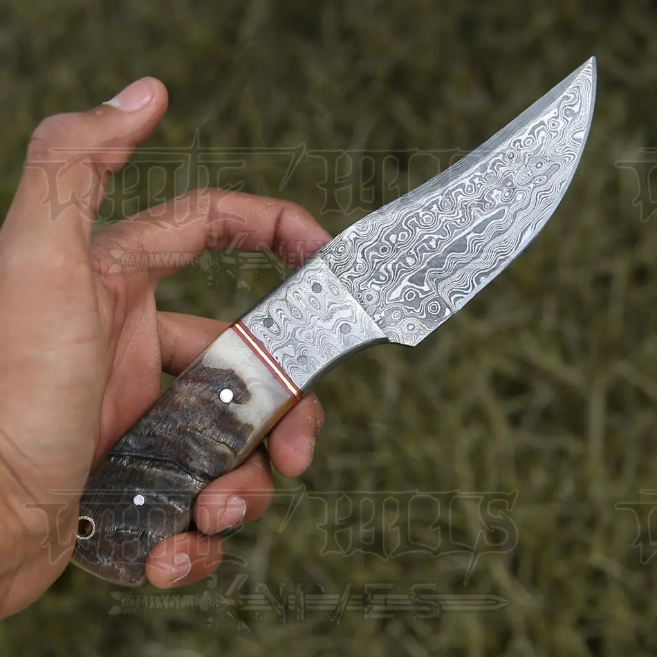 9” Hand Forged Damascus Steel Full Tang Skinner Knife - Ram Horn Handle & Damascus Bolster