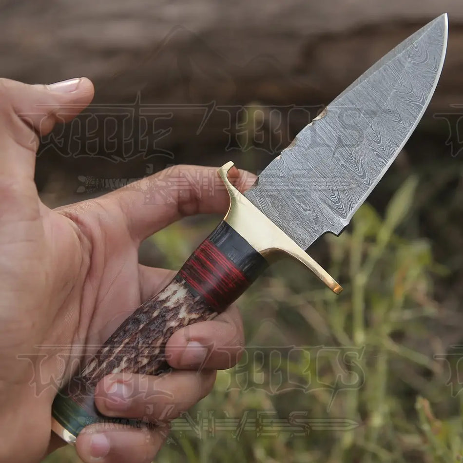 Handmade Damascus Steel Hunting Knife Stag Handle & Brass Bolsters with Leather Sheath
