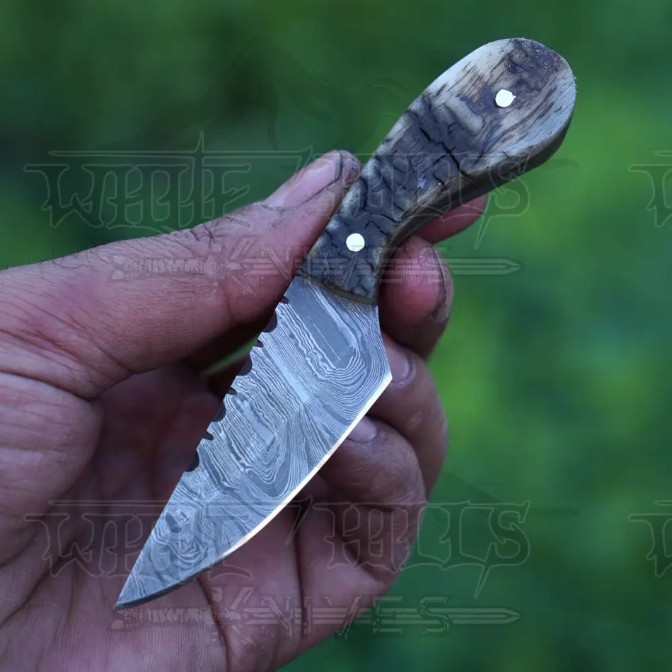 Handmade Damascus Steel Knife - Ram Horn Handle - 5" Full Tang Hunting & Camping Knife - SK-030