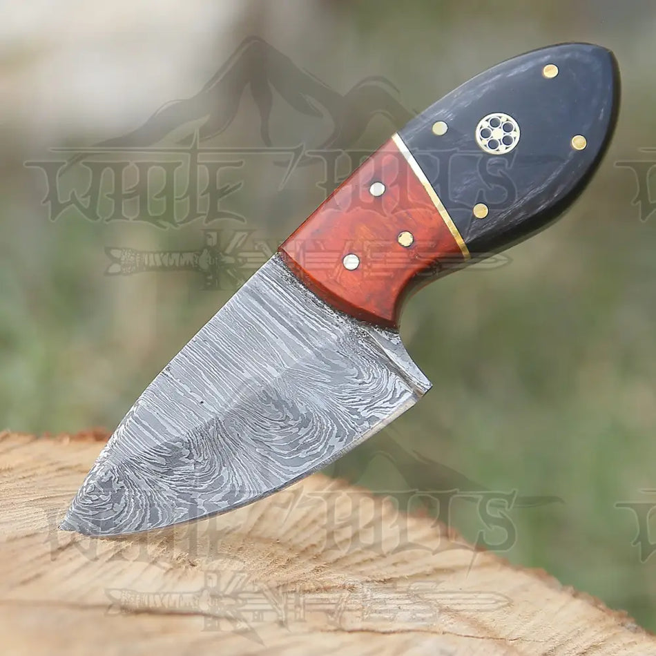 Handmade Damascus Steel Skinner Knife - Buffalo Horn & Wood Handle - 5.5" Full Tang Damascus Knife